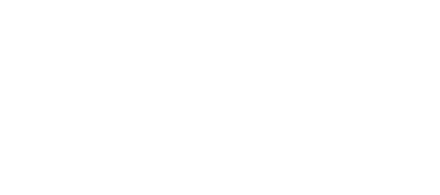 EzyDog