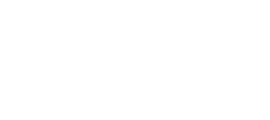 Vorgee